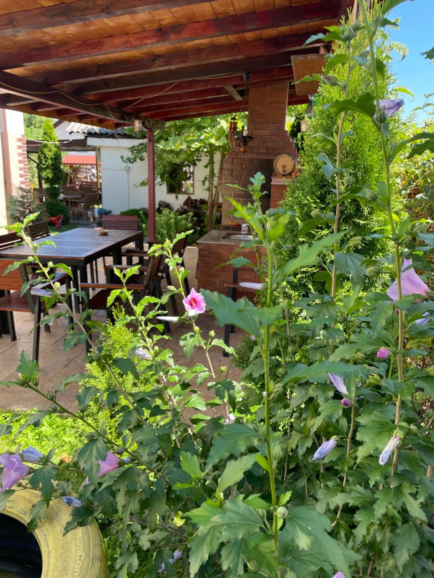 Pensiunea Casa Rica Călimăneşti Dış mekan fotoğraf