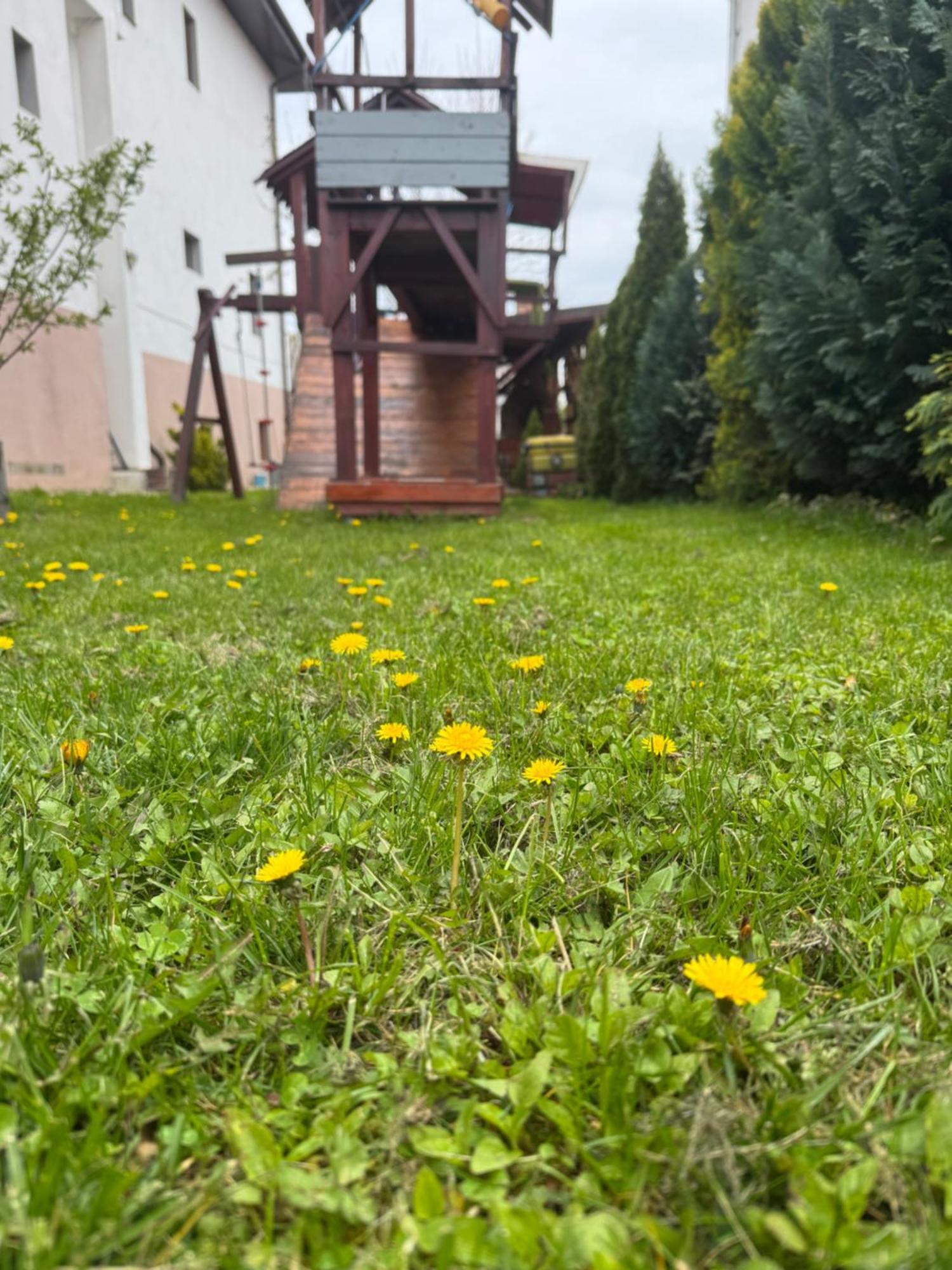 Pensiunea Casa Rica Călimăneşti Dış mekan fotoğraf