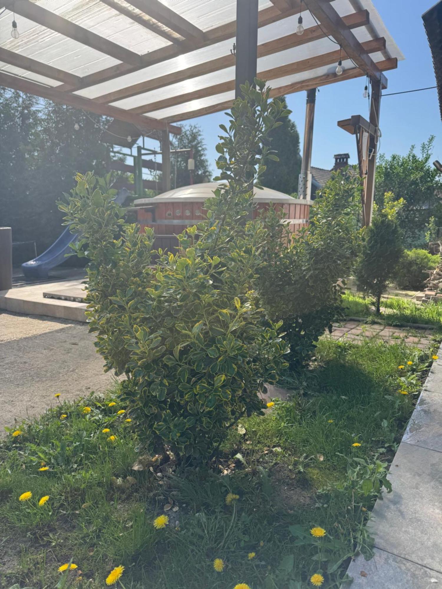 Pensiunea Casa Rica Călimăneşti Dış mekan fotoğraf